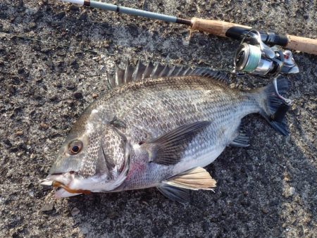 初めての場所でライトワインド調査！