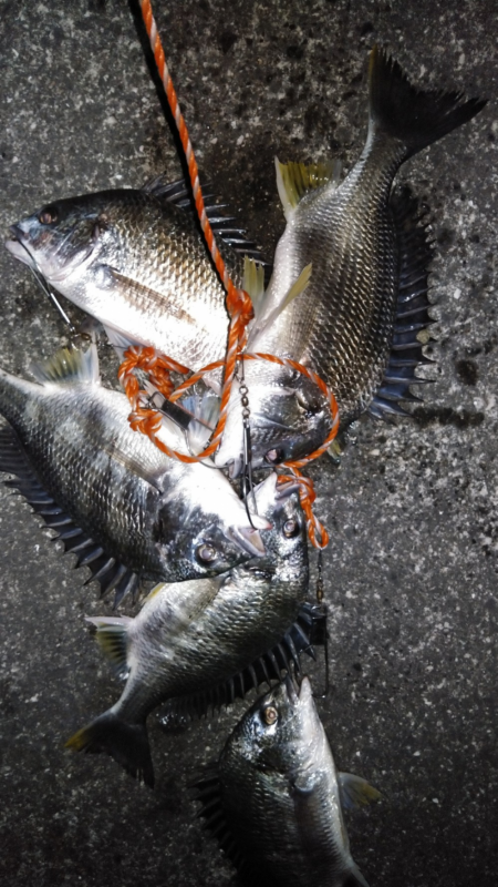 産休ですかね？