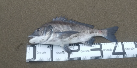 今シーズン初フィッシュ！