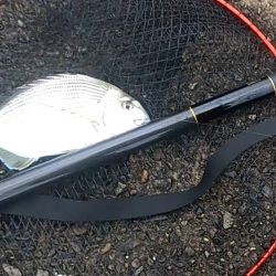 両軸遠投カゴ釣り