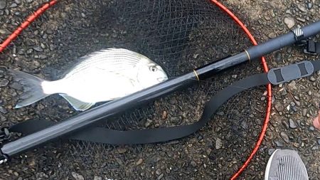 両軸遠投カゴ釣り