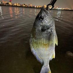 ありがとう淀川