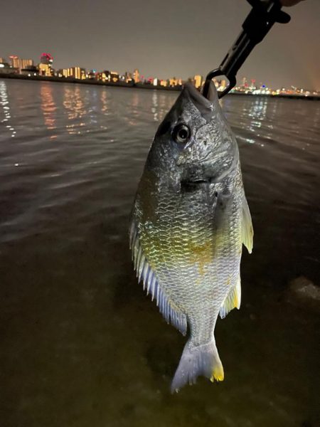 ありがとう淀川