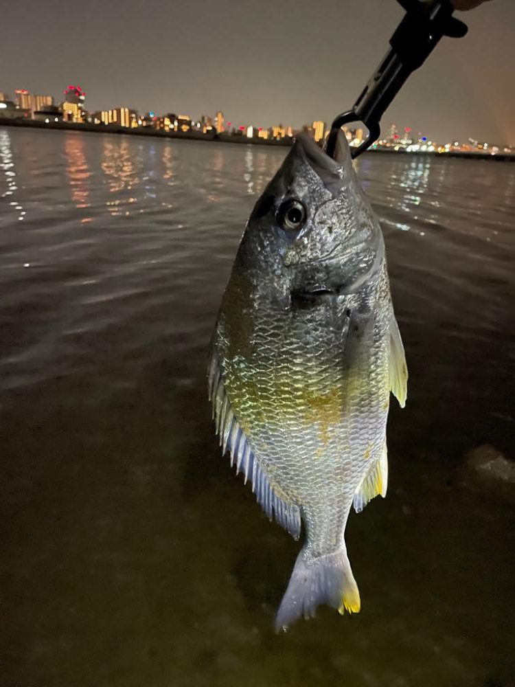 ありがとう淀川