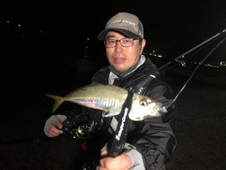 鯵道でアジングの道を極めろ！パート2