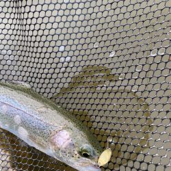 初　サンクチュアリ