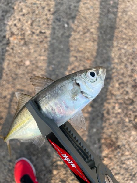 情報から行ってみました