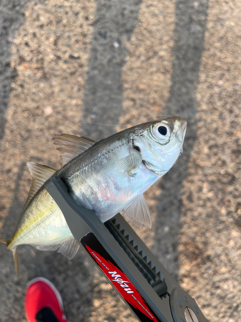 情報から行ってみました