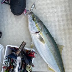 明石沖ジギング