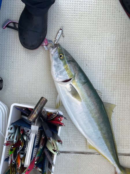 明石沖ジギング