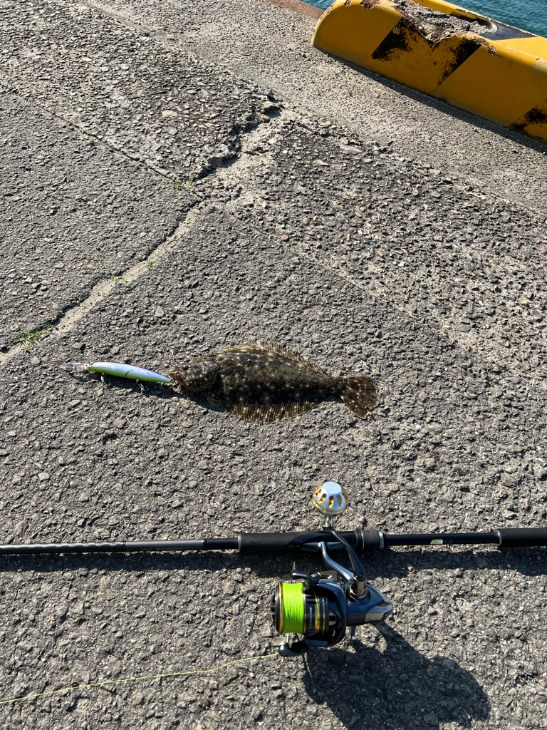 過去の経験を活かしてヒラメGET