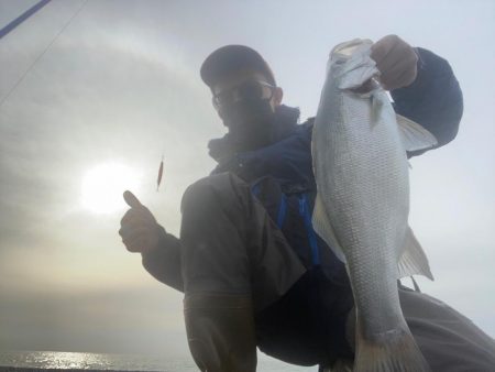 浜のヒラスズキは高活性