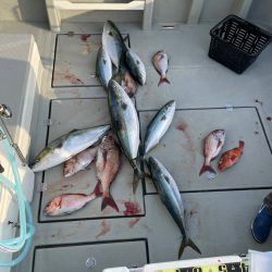 経ヶ岬沖ジギング　タイラバ