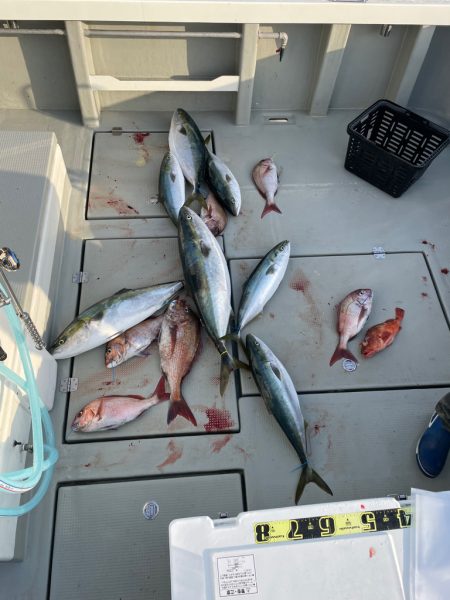 経ヶ岬沖ジギング　タイラバ