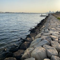 淀川ブリームゲーム　22メタのファーストフィッシュ！