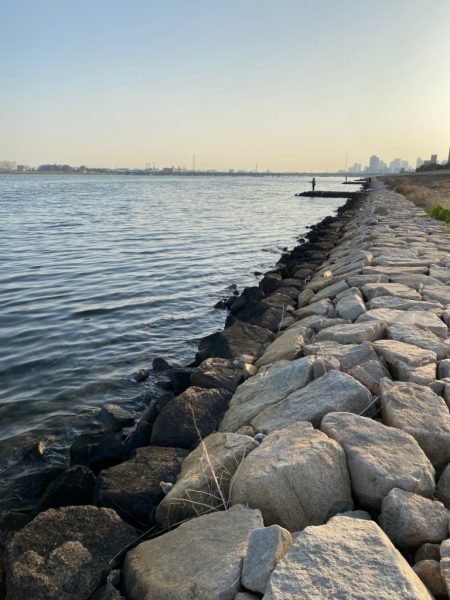 淀川ブリームゲーム　22メタのファーストフィッシュ！