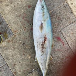 ショアジギング