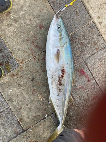 ショアジギング