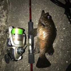 自作スーパーボールフロートリグ