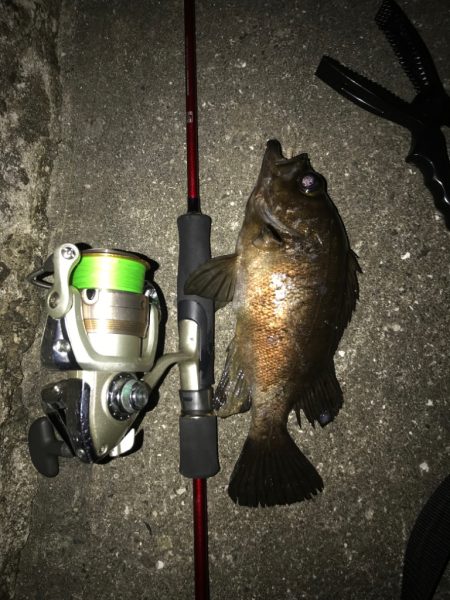 自作スーパーボールフロートリグ