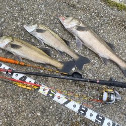 久しぶりの雨の釣り
