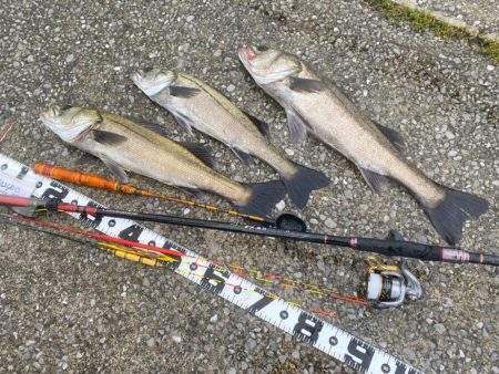 久しぶりの雨の釣り