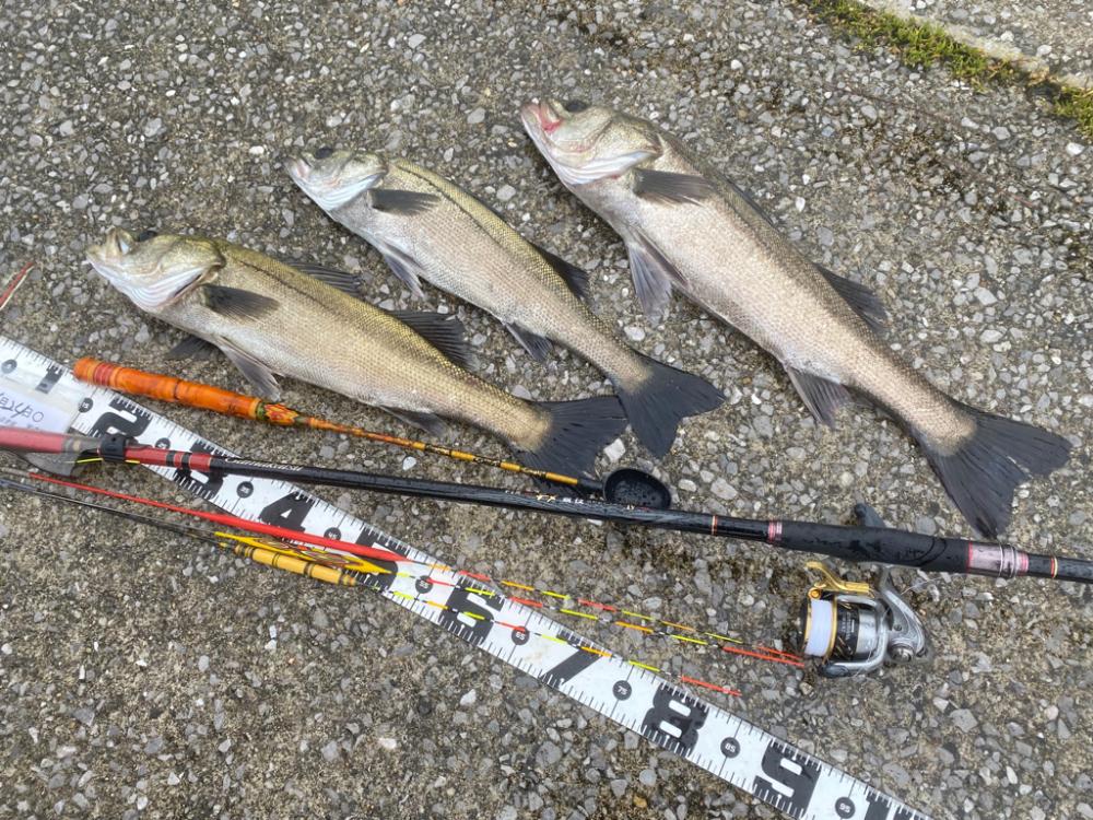 久しぶりの雨の釣り