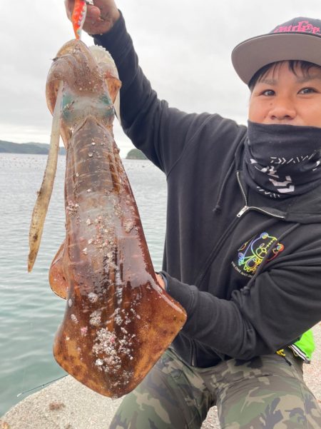 アオリイカ2キロ捕獲