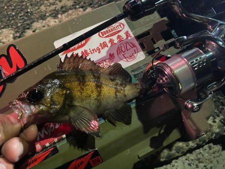 メインラインを変更してみた！