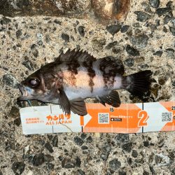 シーズン終盤？