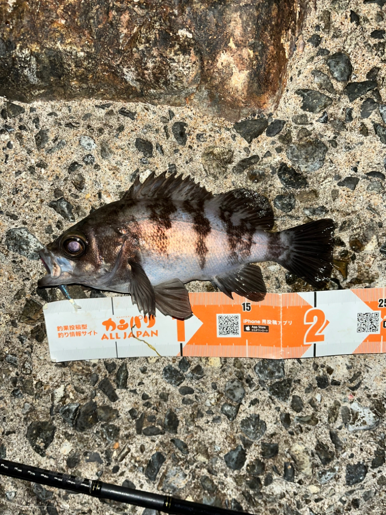 シーズン終盤？