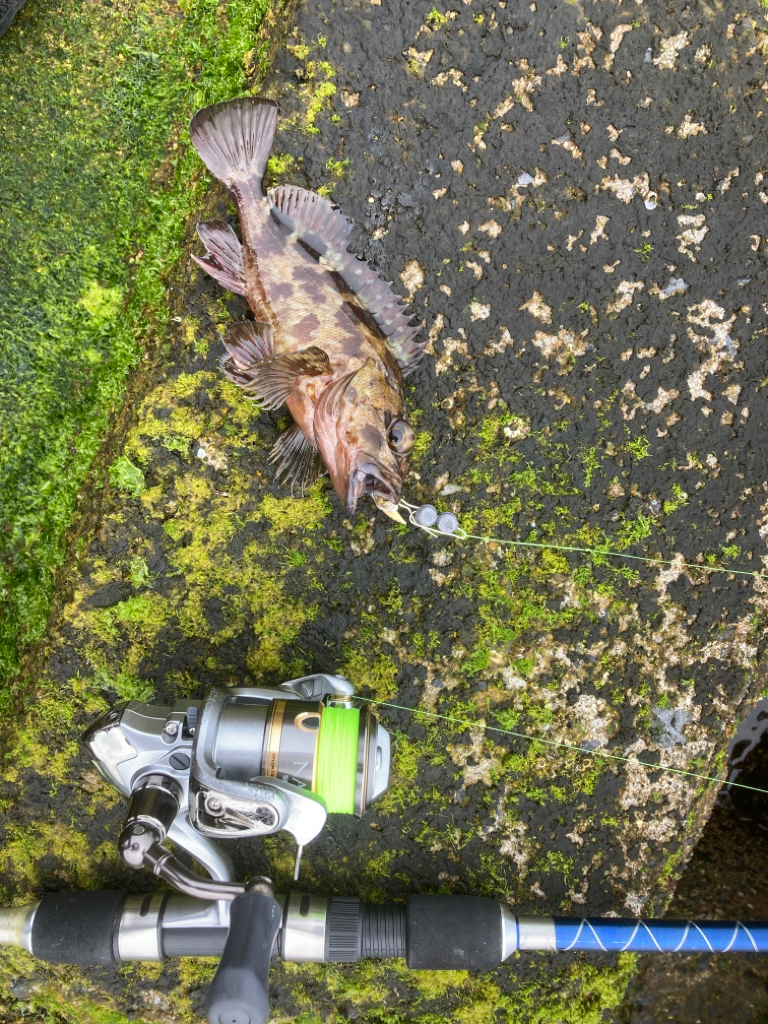 穴釣り　10回目