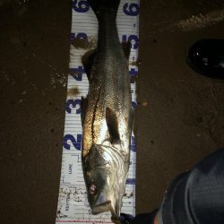 粘ってなんとか