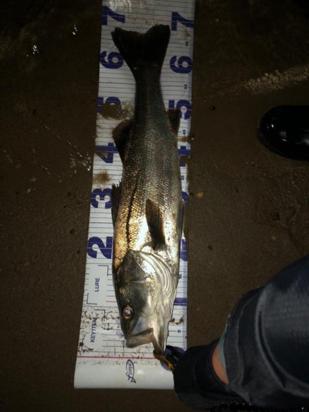 粘ってなんとか