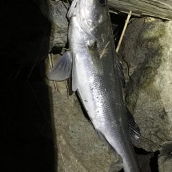 仕事終わりの。