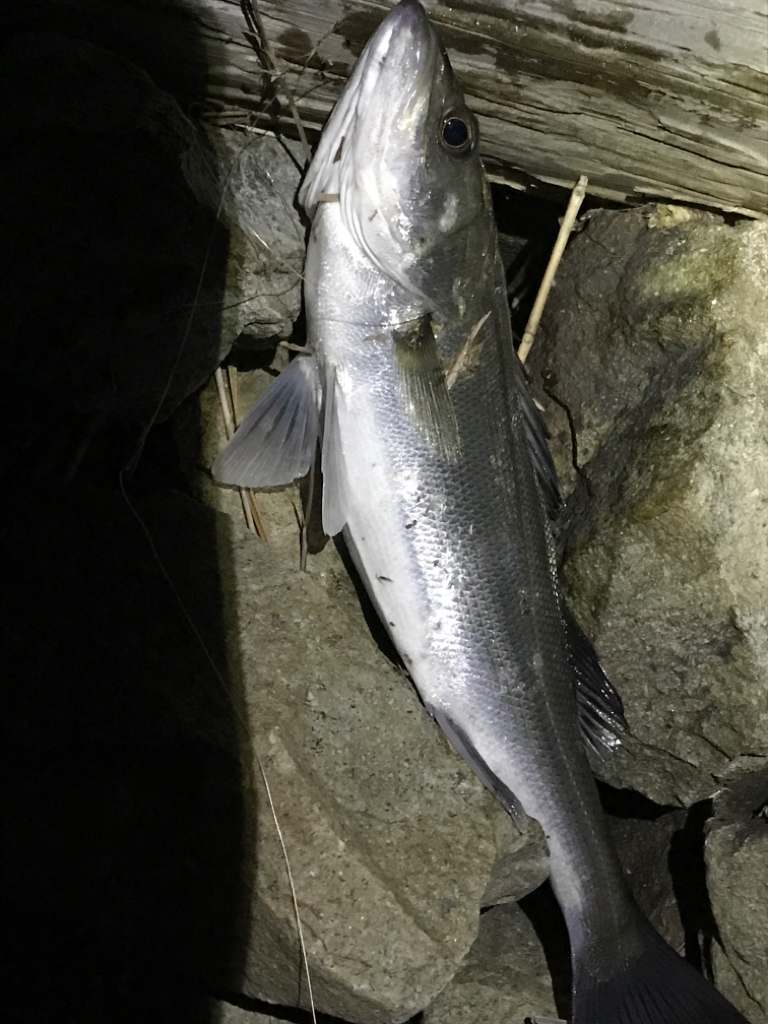 仕事終わりの。