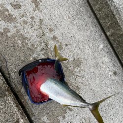 神戸空港青物祭り