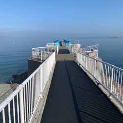 やっぱりガシラ