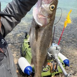 今年初カヤックフィッシング！