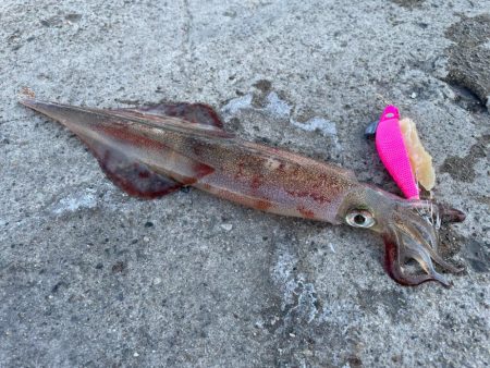 まさかの、、、⁉︎