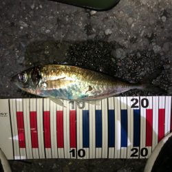 仕事終わってランガン！