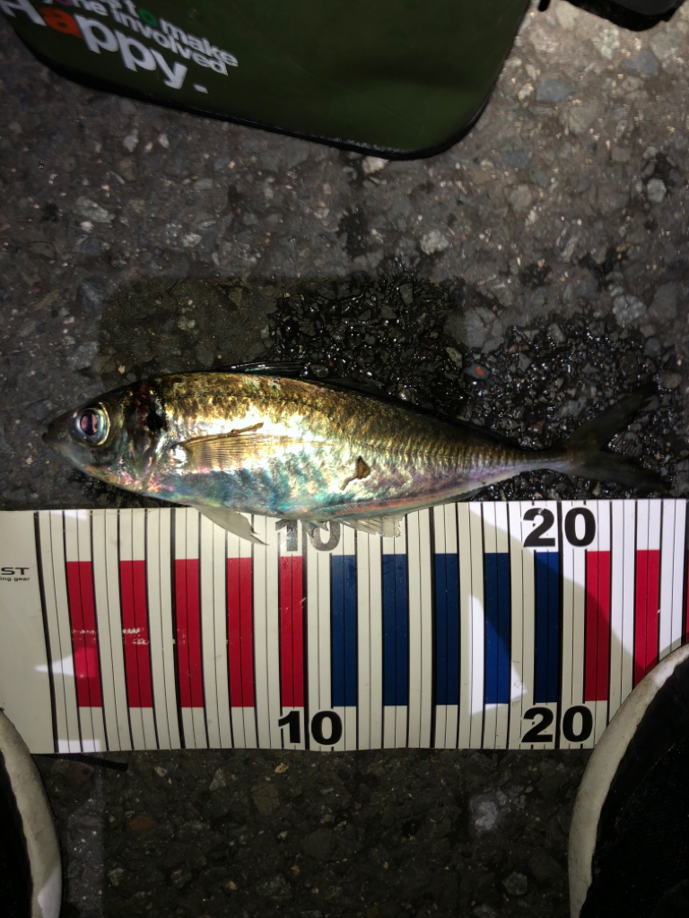 仕事終わってランガン！