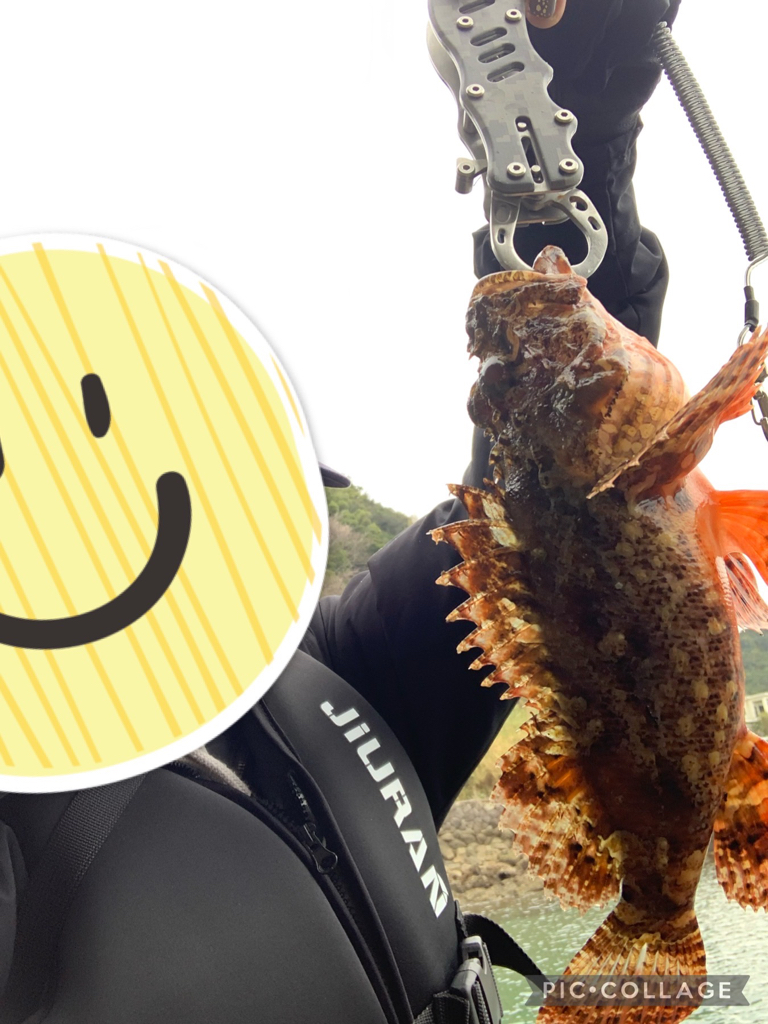 キス諦め穴釣り