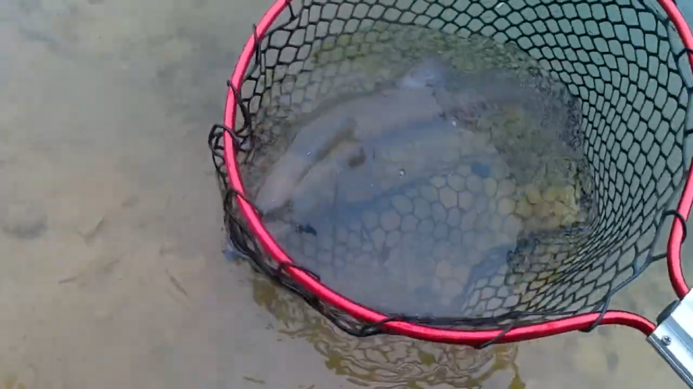 初フィッシングレイク高宮！