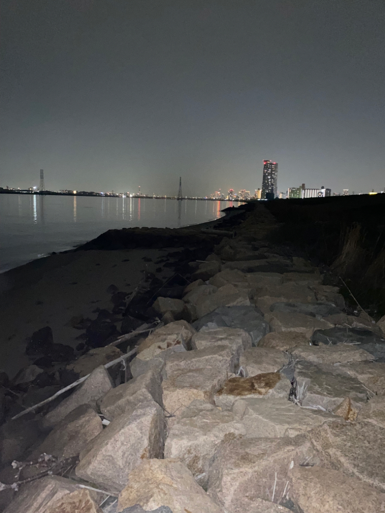 淀川ブリームゲーム