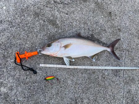 もぉ？ネイリさん！