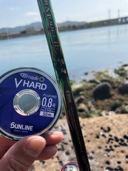 アジ釣れてます❗࿠…