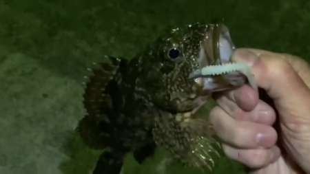 初浜田ライトゲーム！