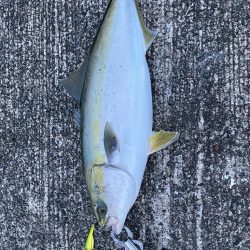 南港ショアジギング2