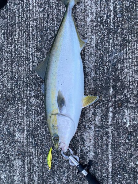 南港ショアジギング2